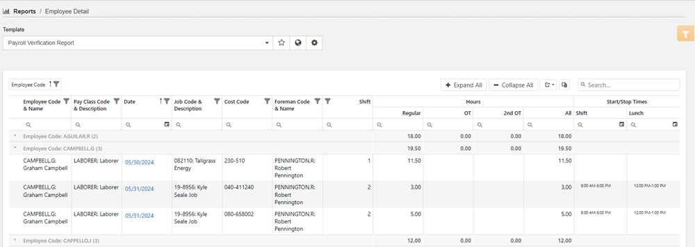 payroll verification report